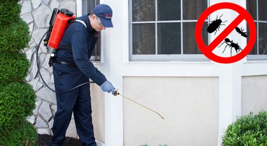 Gülşehir Böcek ve Haşere İlaçlama böcek ilaçlama ve haşere kontrolü — ilaclama-tr.com